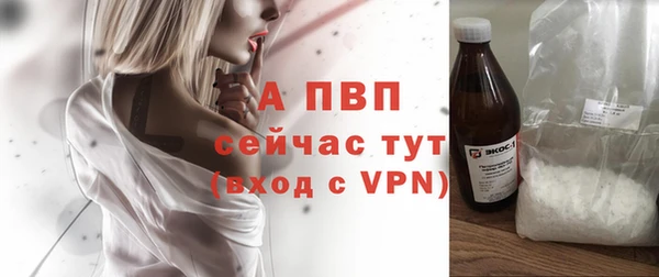 a pvp Абаза