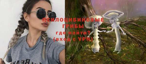 a pvp Абаза