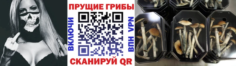 Галлюциногенные грибы ЛСД  Полтавская 